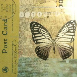 Meet your Posher, Deana